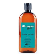 Design Look Шампунь відновлюючий Illumyno з олією аргана і цубакі 250мл