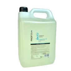 PROFIStyle Шампунь BASIC "Кондиціонуючий" з провітаміном В5 для всіх типів волосся  5000мл