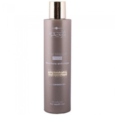 Hair Company Frizz Stopper Mask Розгладжуюча маска  200мл